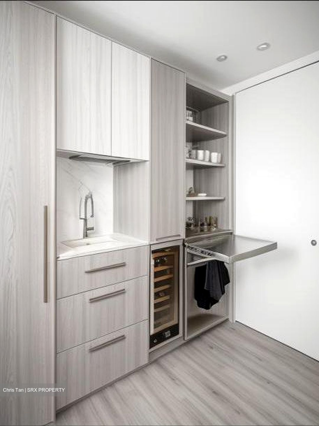 Skysuites@Anson (D2), Apartment #501112541